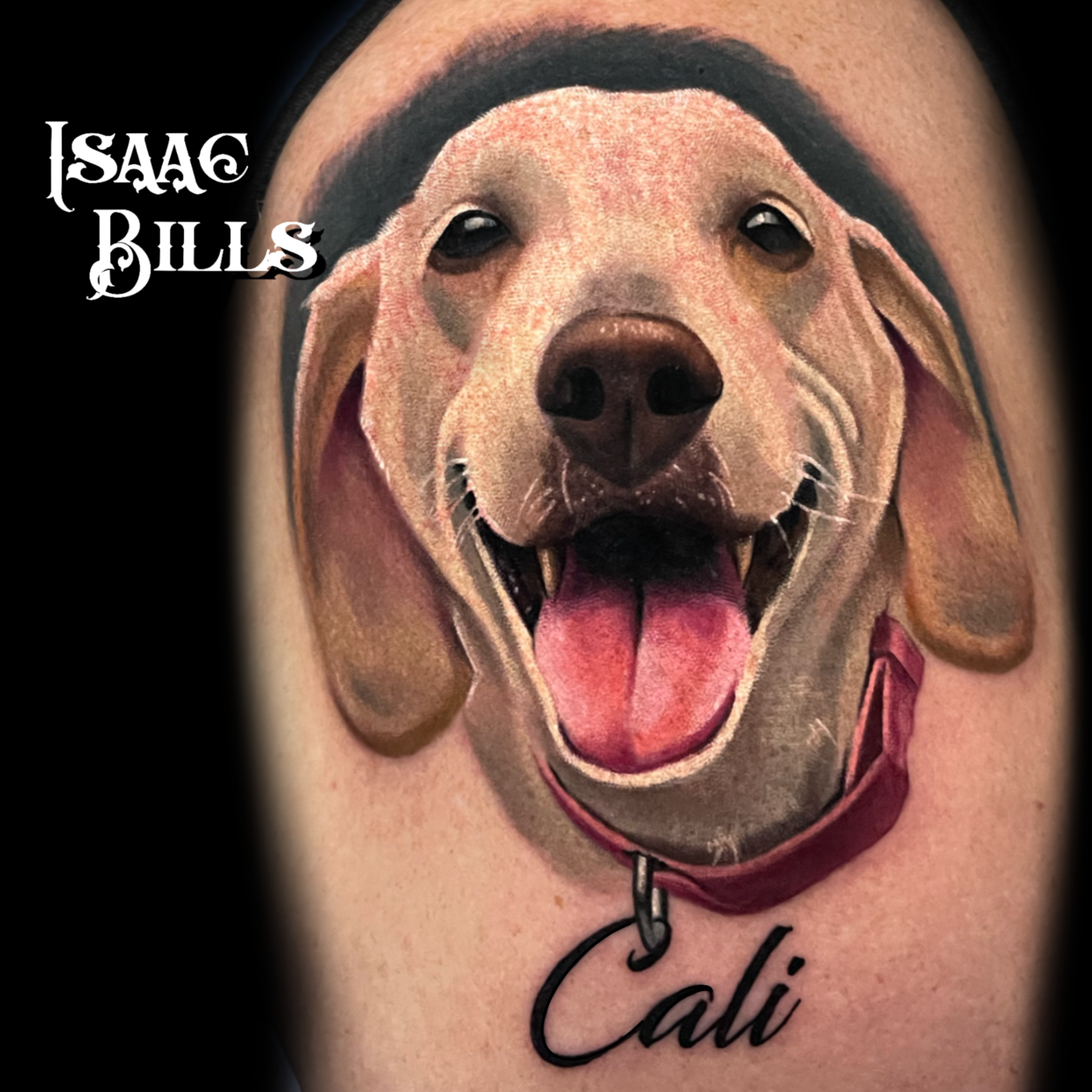 Isaac Bills Fine Art & Tattoos